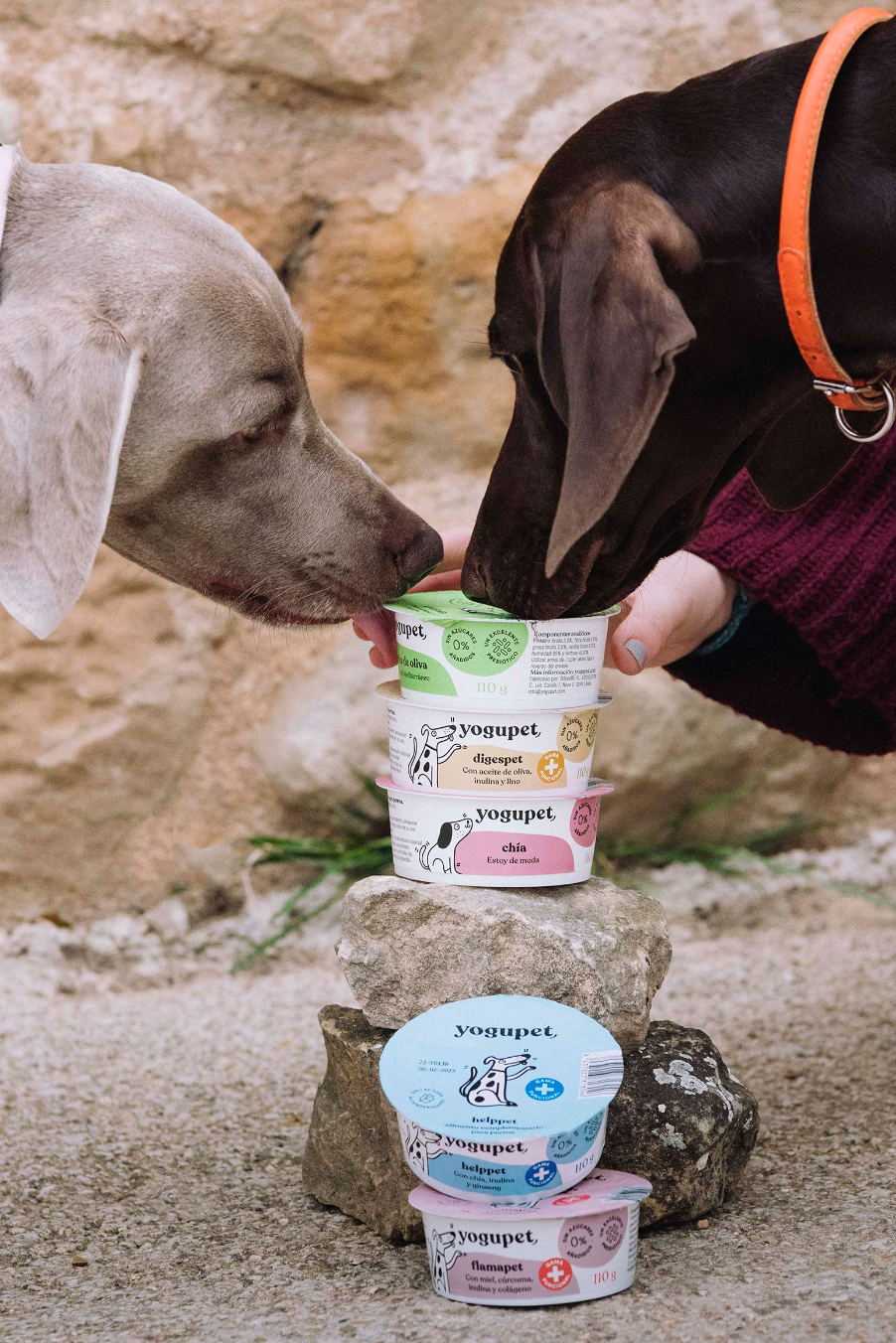 Yogupet. Yogur pasteurizado para perros y gatos.