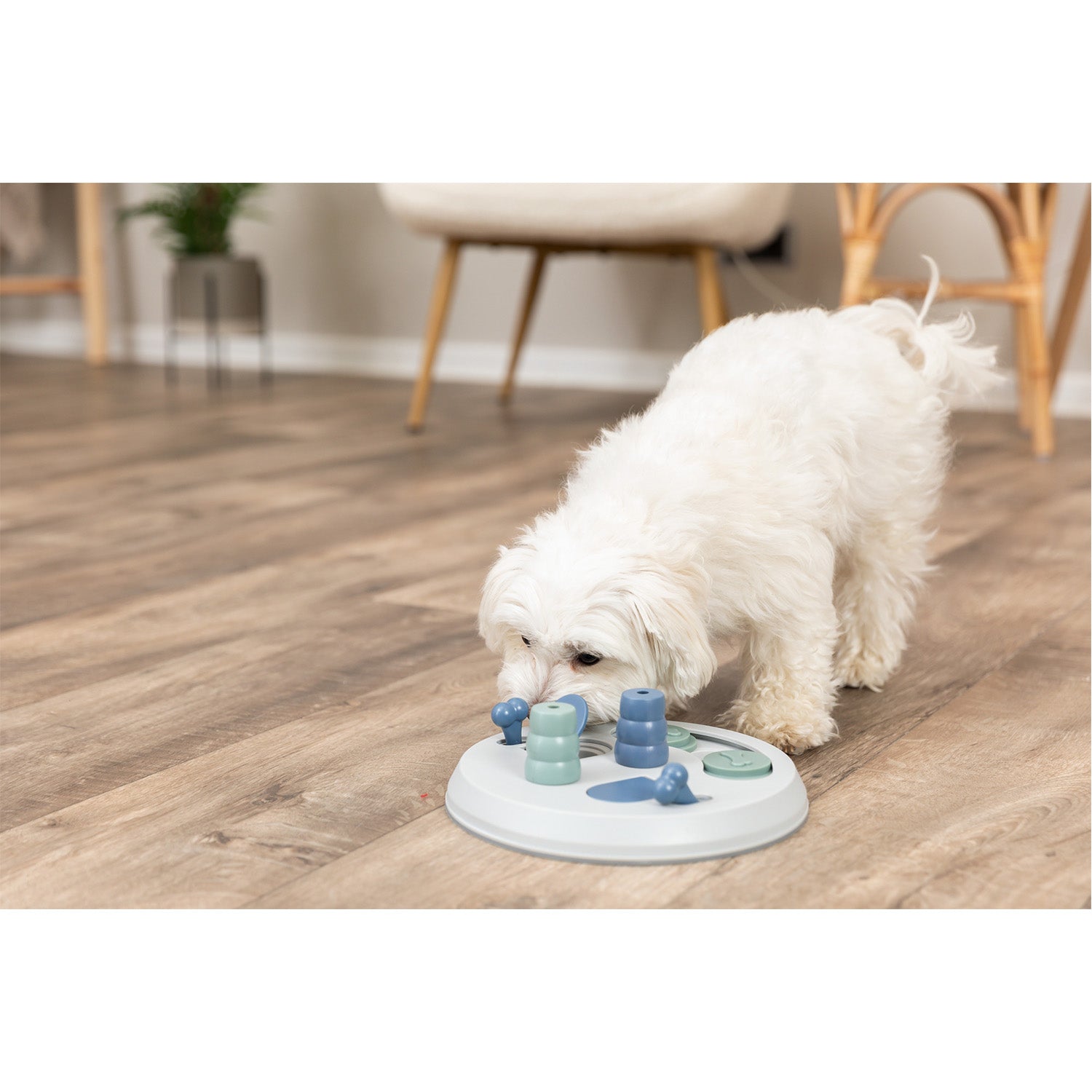 Barcinos Pet Store