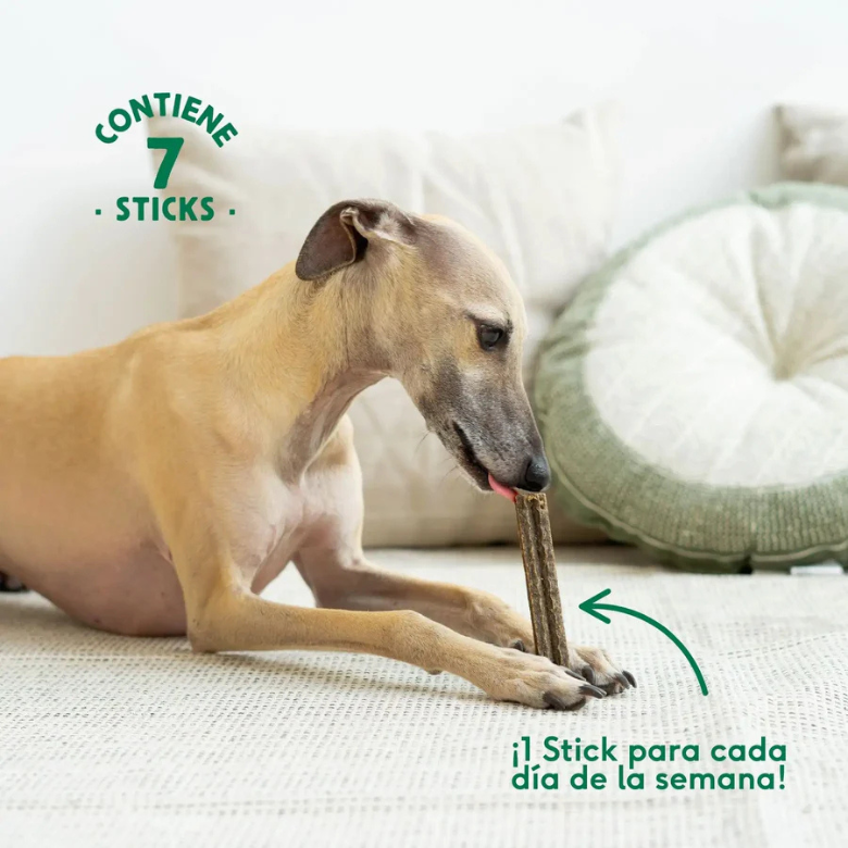 Barcinos Pet Store