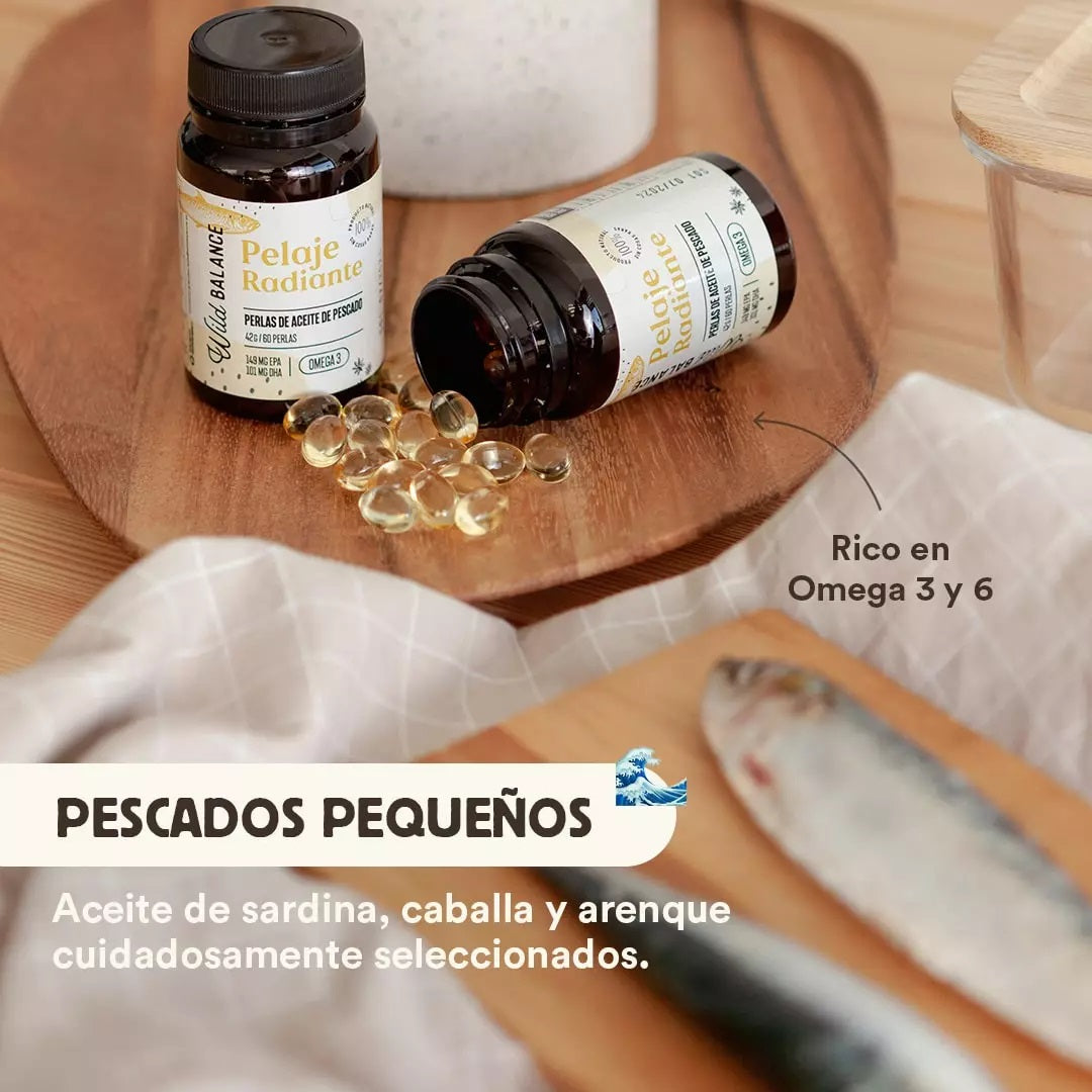 Barcinos Pet Store